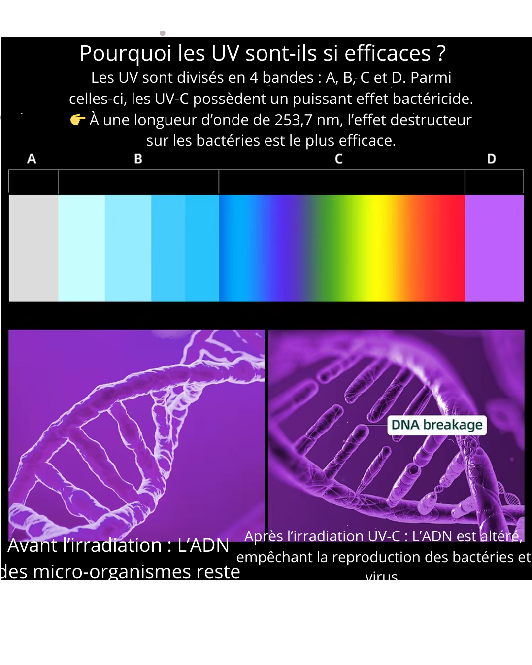 Stérilisateur UV Électrique Multifonctionnel™ Ultra-Efficace et Élimine 99,99% des Virus et Bactéries et Désinfecte en Profondeur!